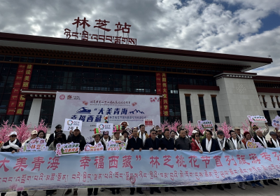 2025年西藏康輝接待“大美青海 幸福西藏” 林芝桃花節(jié)首列旅游專列抵達(dá)林芝