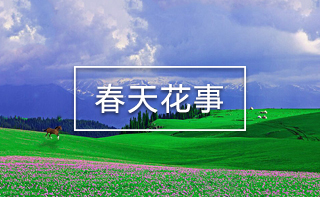 西藏旅游網(wǎng)